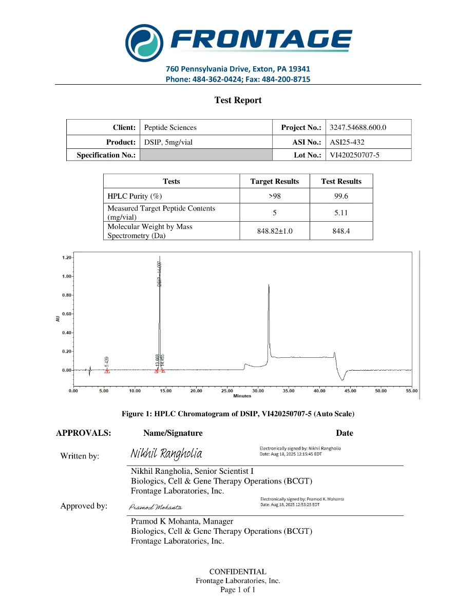 DSIP_Lot_VI420250707-5_-V1-1 (1)
